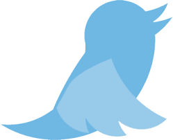 twitter-icon.png